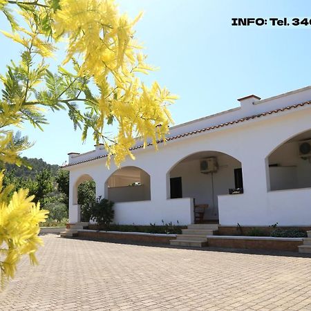 Annaluce Apartments Vieste Zewnętrze zdjęcie