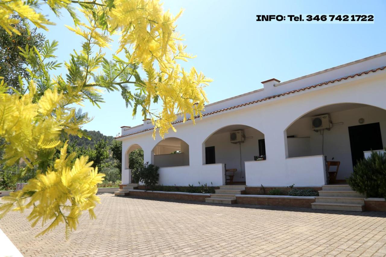 Annaluce Apartments Vieste Zewnętrze zdjęcie